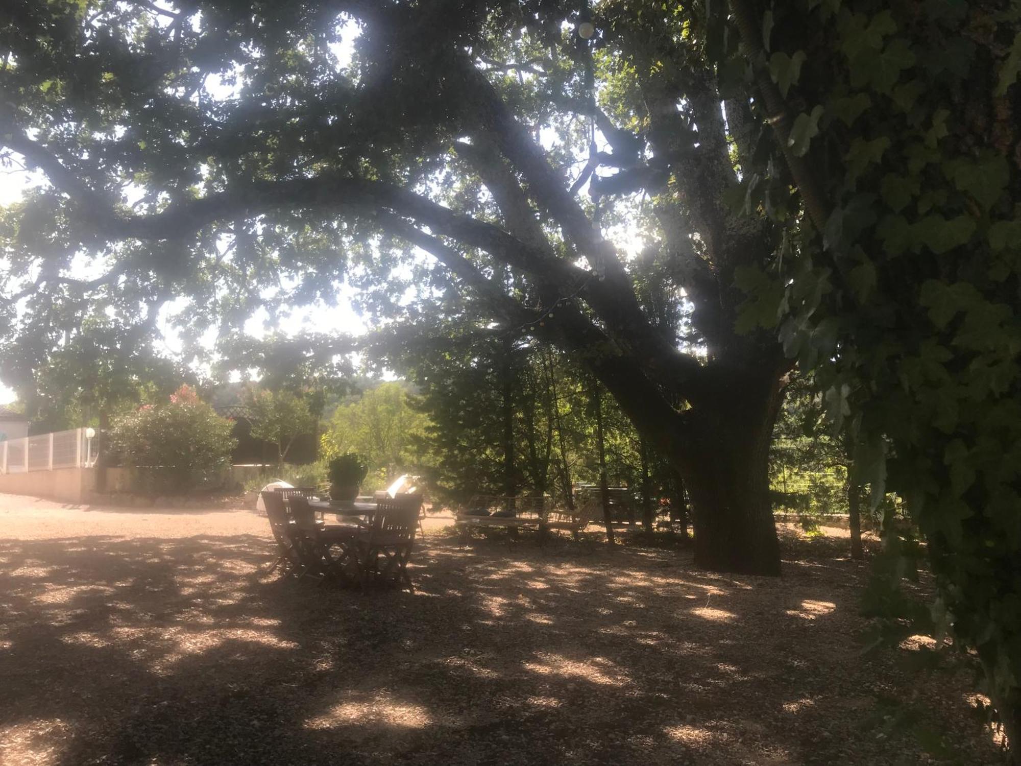 Gites Le Mas Du Vieux Chene Salavas Exteriör bild